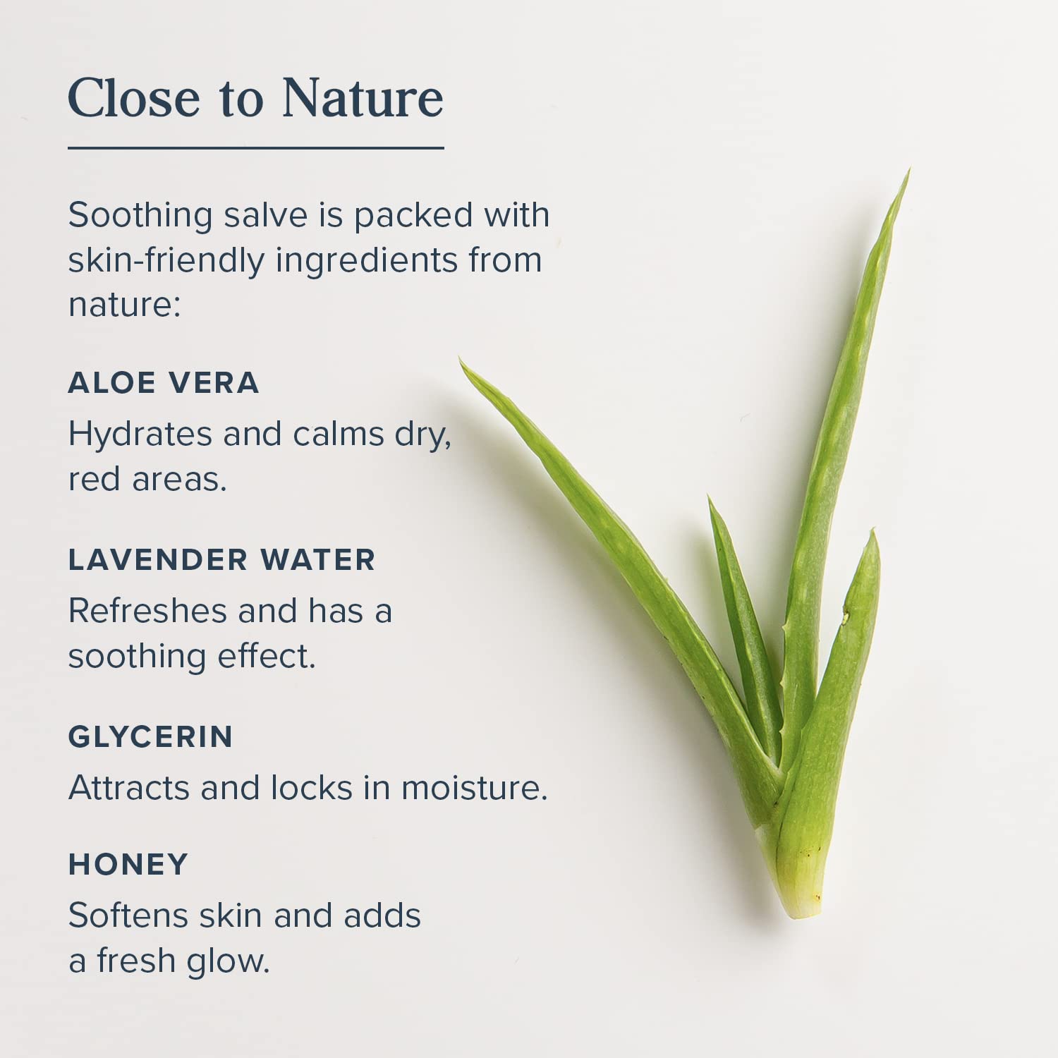 Foto 6 pulgar | Skin Salve Heritage Store De Plata Coloidal Con Aloe Vera, 60 Ml - Venta Internacional.