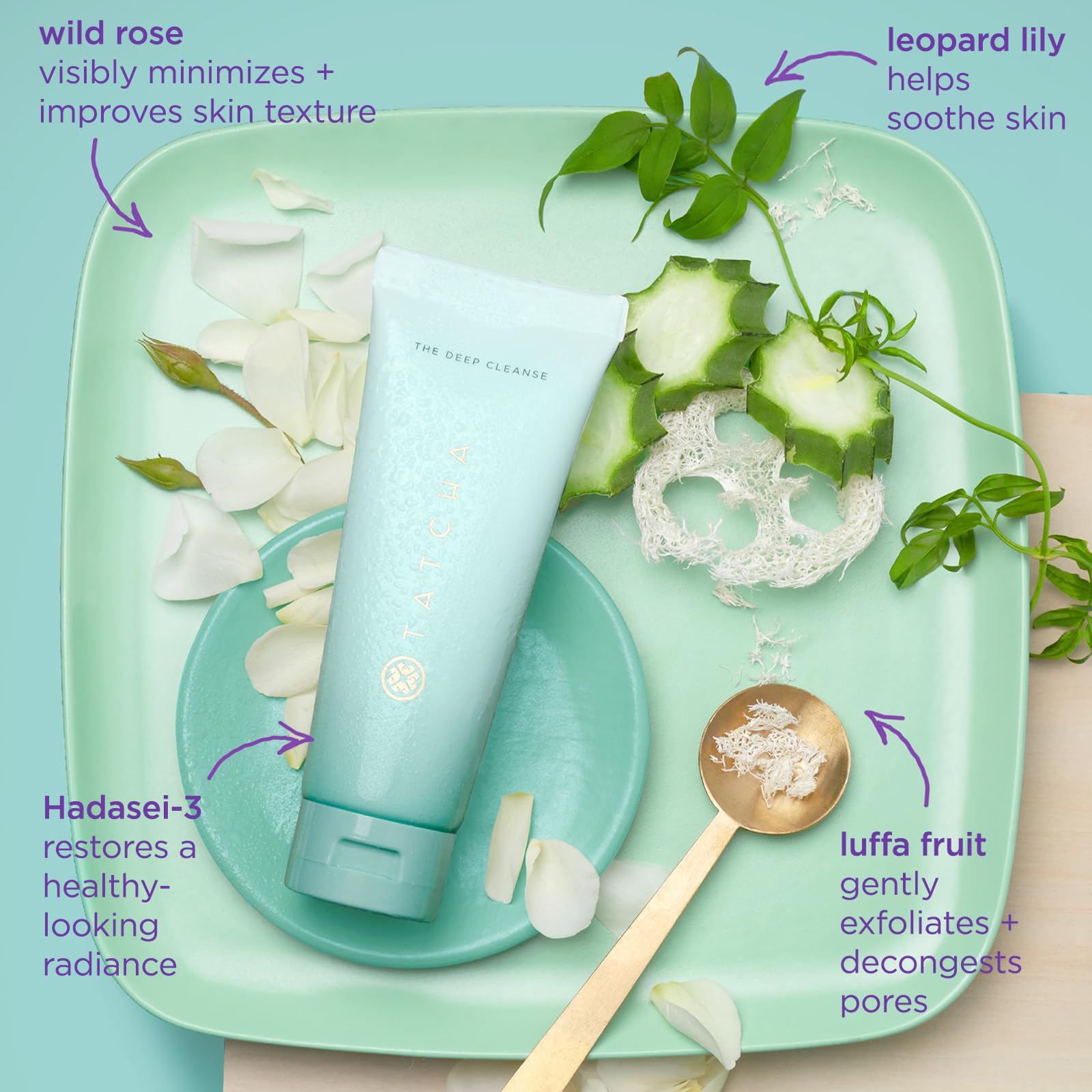 Foto 6 pulgar | Limpiador Tatcha The Deep Cleanse Deep Pore 150 Ml - Venta Internacional.