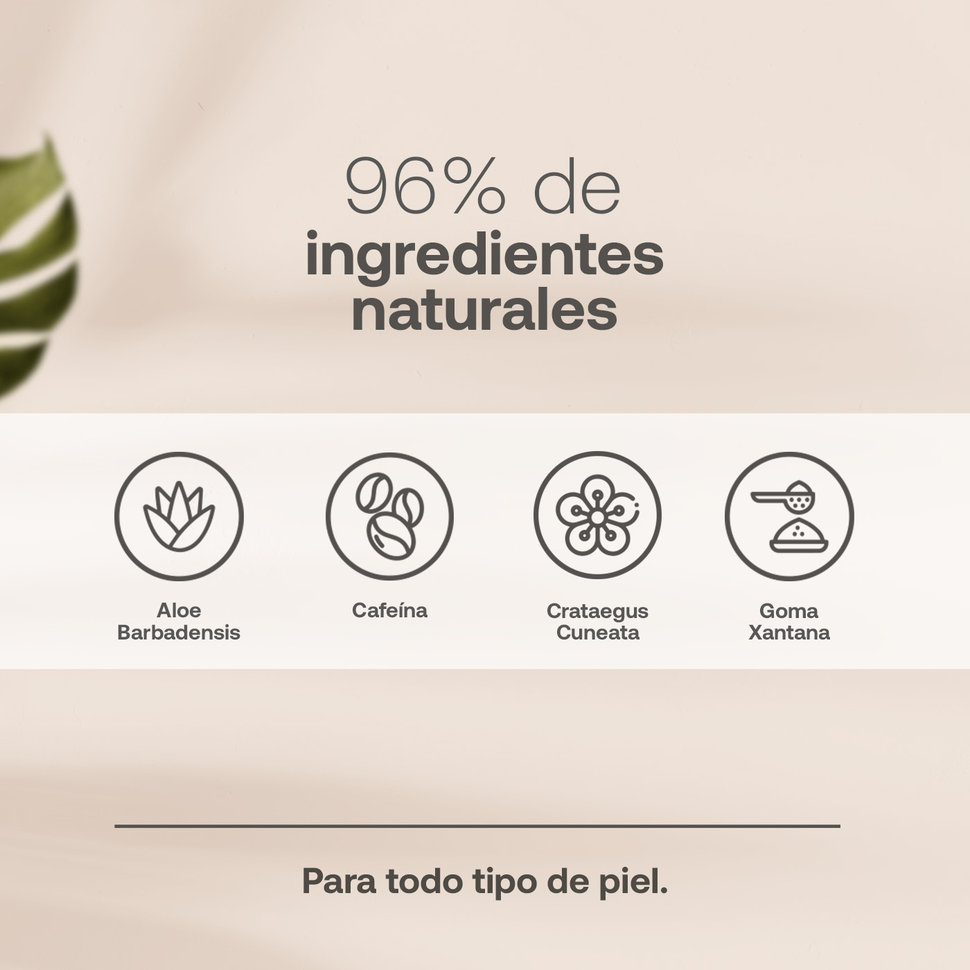 Foto 5 pulgar | Serum para Ojos 96% Ingredientes Naturales Eye Serum B Life