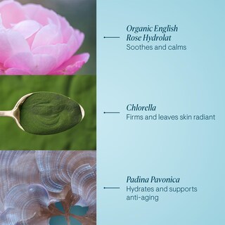Foto 3 | Crema Elemis Pro-collagen Rose Marine Hidratante Antiarrugas - Venta Internacional