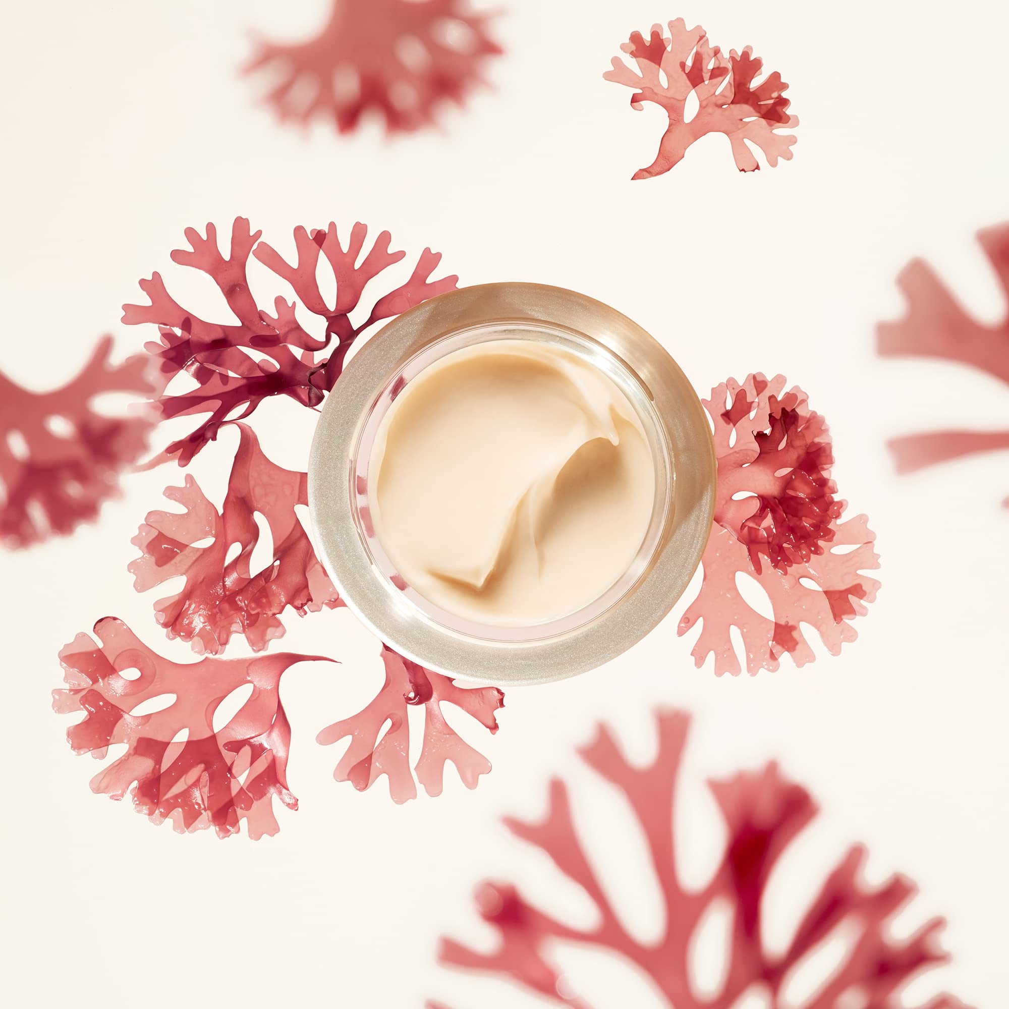 Foto 7 | Hidratante Shiseido Benefiance Antiarrugas - Venta Internacional