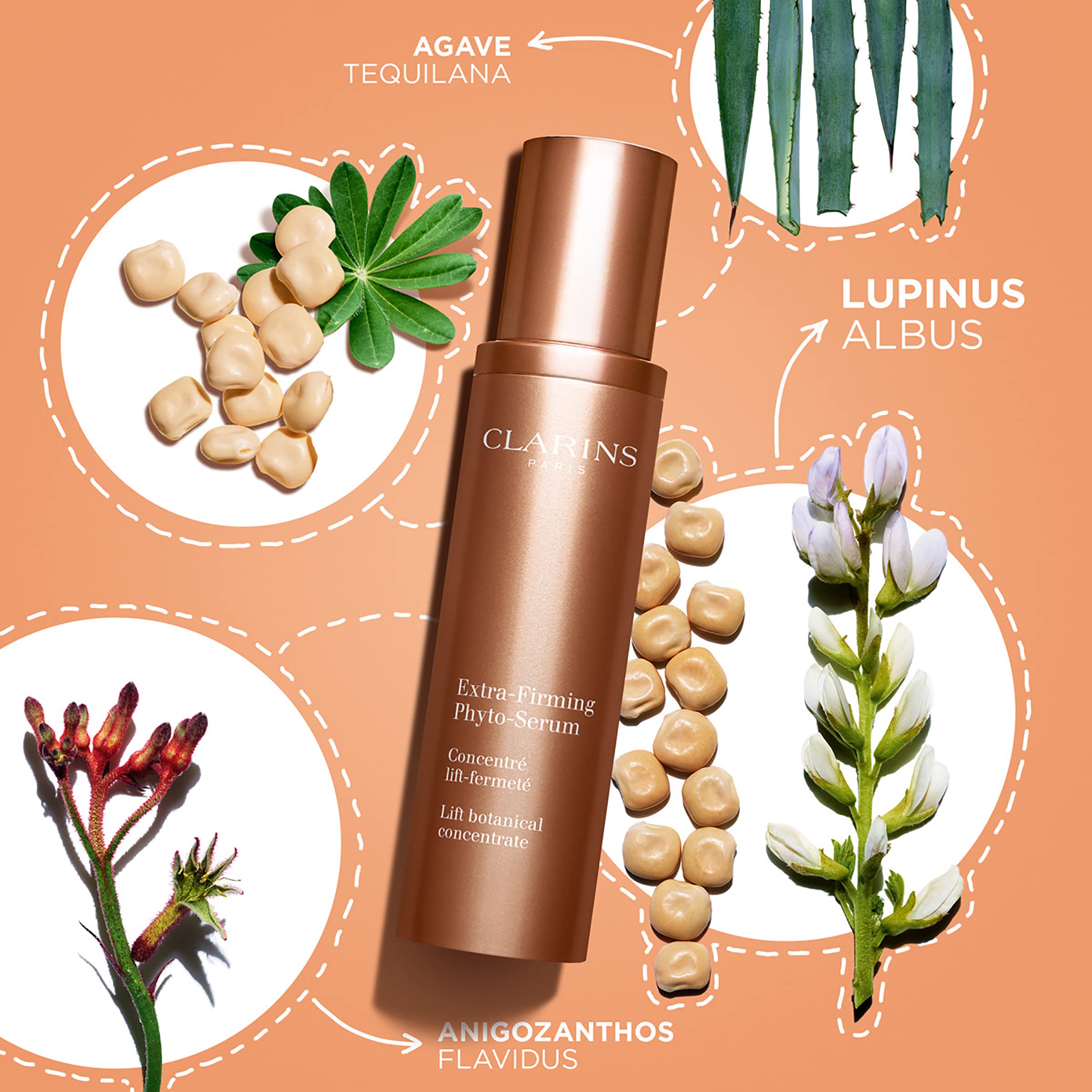 Foto 4 pulgar | Sérum Fitosérum Extrareafirmante Clarins, Antienvejecimiento, 50 Ml - Venta Internacional.