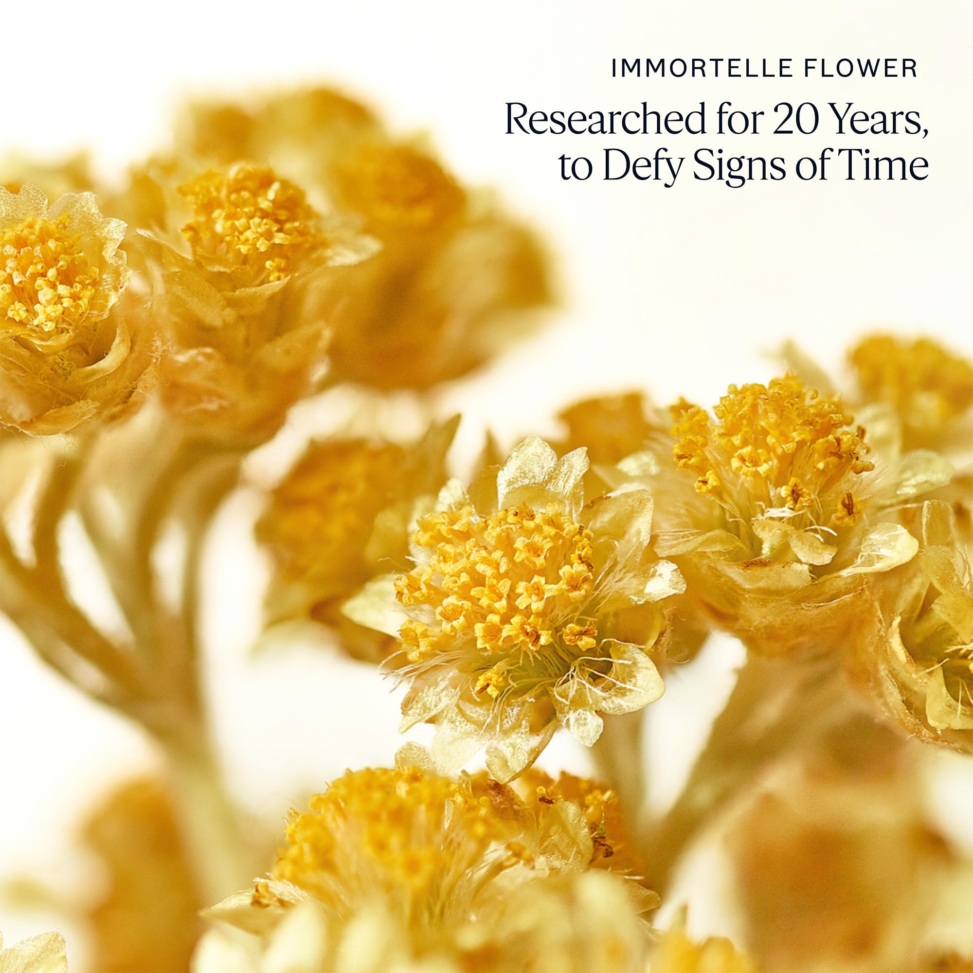 Foto 5 pulgar | Crema Facial L'occitane Immortelle Divine Firming 50 Ml - Venta Internacional.