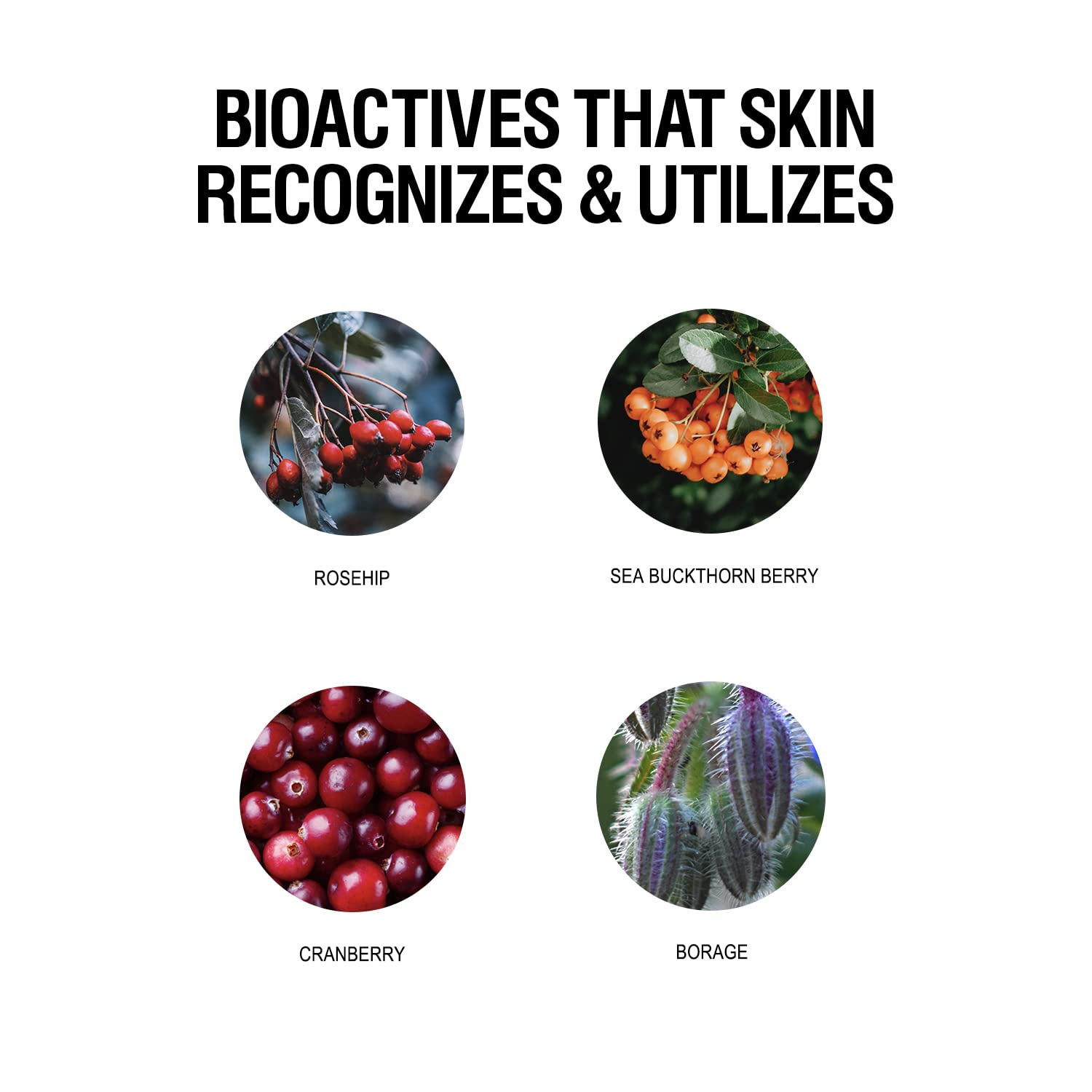 Foto 3 | Aceite Facial Grown Alchemist Antioxidant+ 25 Ml - Venta Internacional.