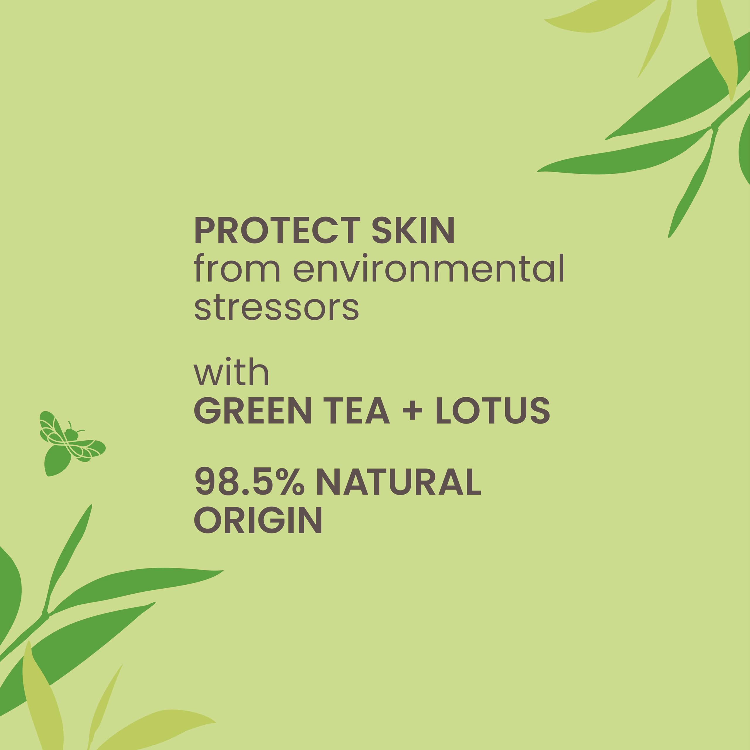 Foto 3 pulgar | Sérum Facial Burt's Bees, Té Verde, Refuerzo Antioxidante, 30 Ml - Venta Internacional.