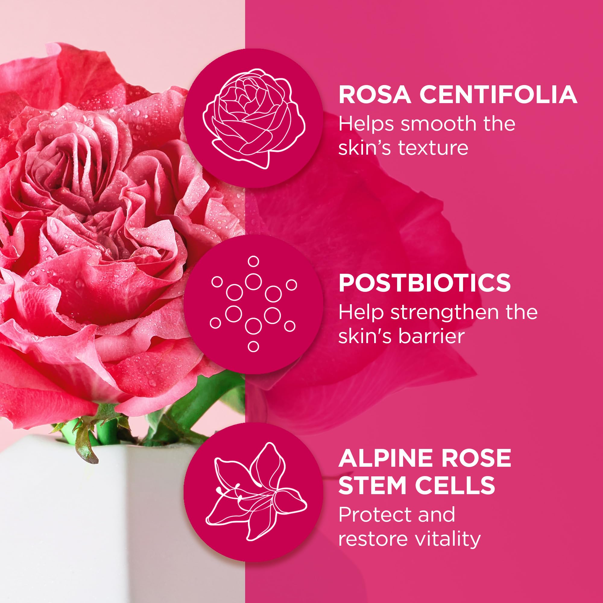 Foto 4 pulgar | Crema De Noche Andalou Naturals 1000 Roses  Fortificante 30 Ml - Venta Internacional.