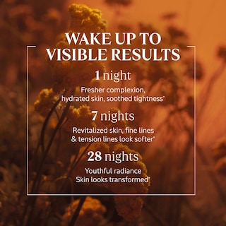 Foto 3 | Aceite En Sérum L'occitane Immortelle Overnight Reset De Skincare, 50 Ml - Venta Internacional.