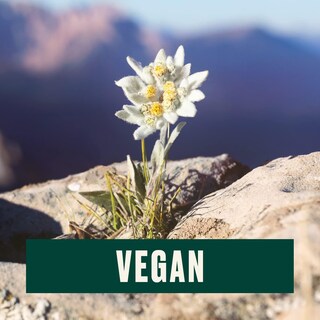 Foto 4 | Sérum The Body Shop Edelweiss, Concentrado Diario, 30 Ml, Vegano - Venta Internacional.