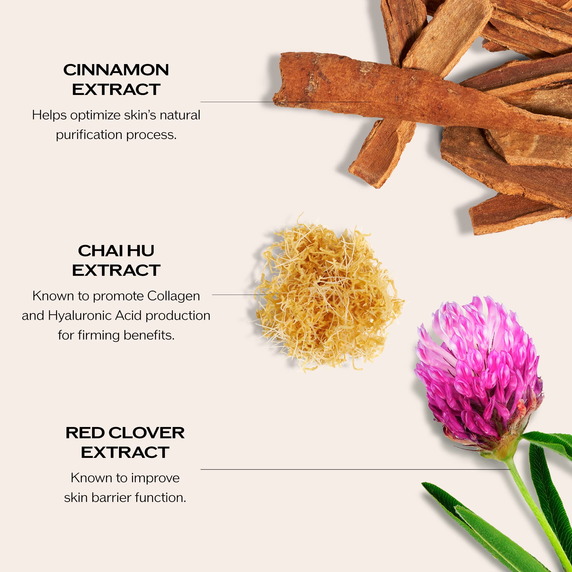 Foto 4 | Sérum Shiseido Bio-performance Skin Filler Noche Y Día - Venta Internacional.
