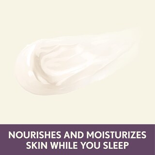 Foto 3 | Crema De Noche Aveeno Absolutely Ageless 50 Ml (paquete De 2) - Venta Internacional.