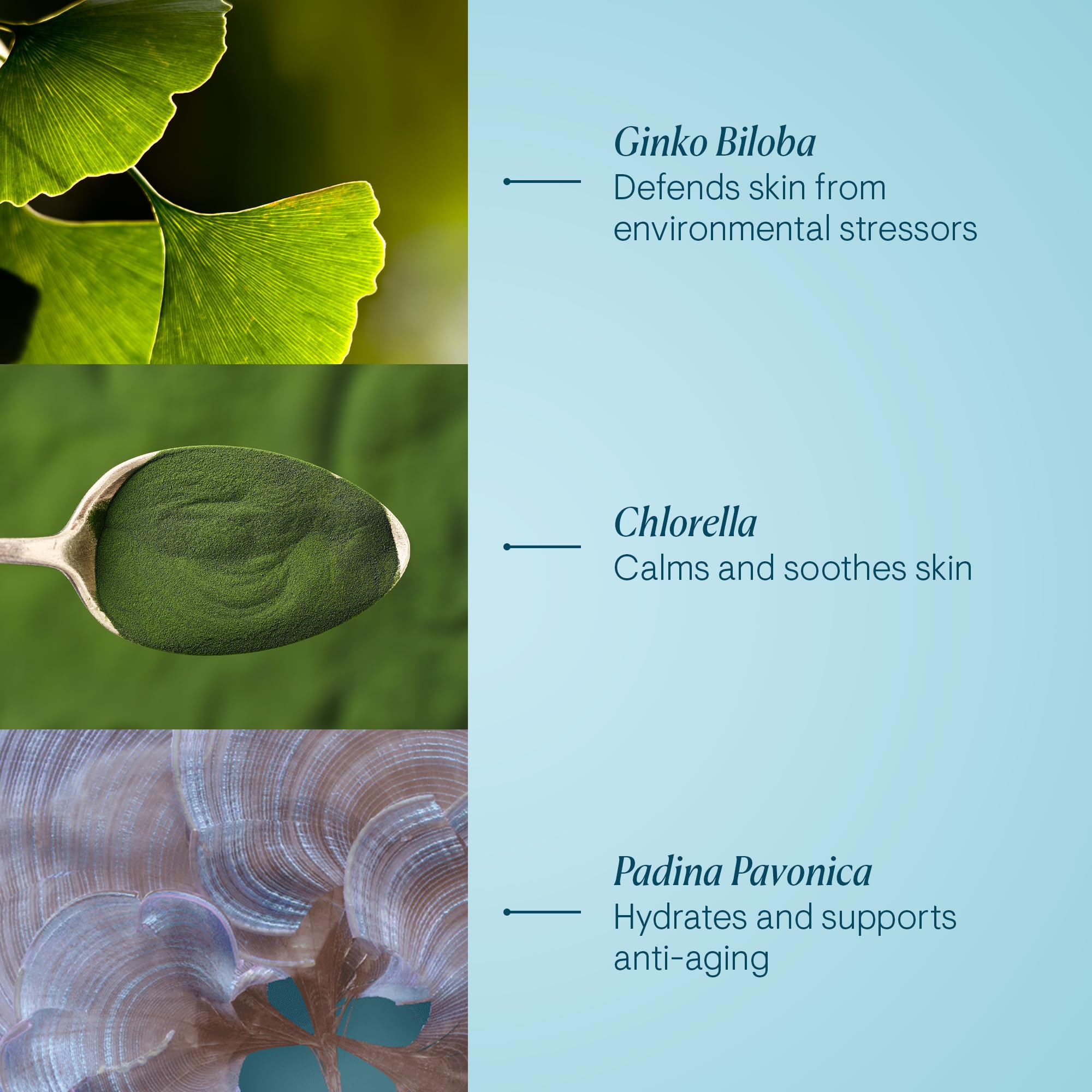 Foto 6 pulgar | Crema Hidratante Elemis Pro-collagen Marine Spf 30 - Venta Internacional