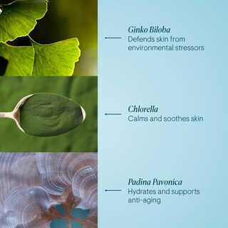 Foto 5 | Crema Hidratante Elemis Pro-collagen Marine Spf 30 - Venta Internacional