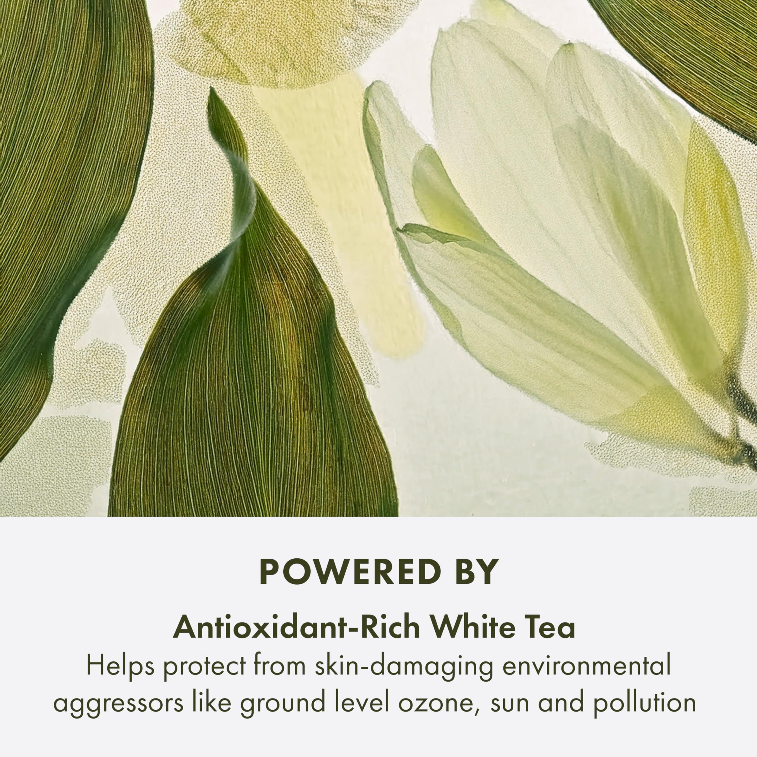 Foto 5 pulgar | Antioxidante Serum Origins A Perfect World, 50 Ml Con Té Blanco - Venta Internacional.