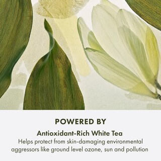 Foto 4 | Antioxidante Serum Origins A Perfect World, 50 Ml Con Té Blanco - Venta Internacional.