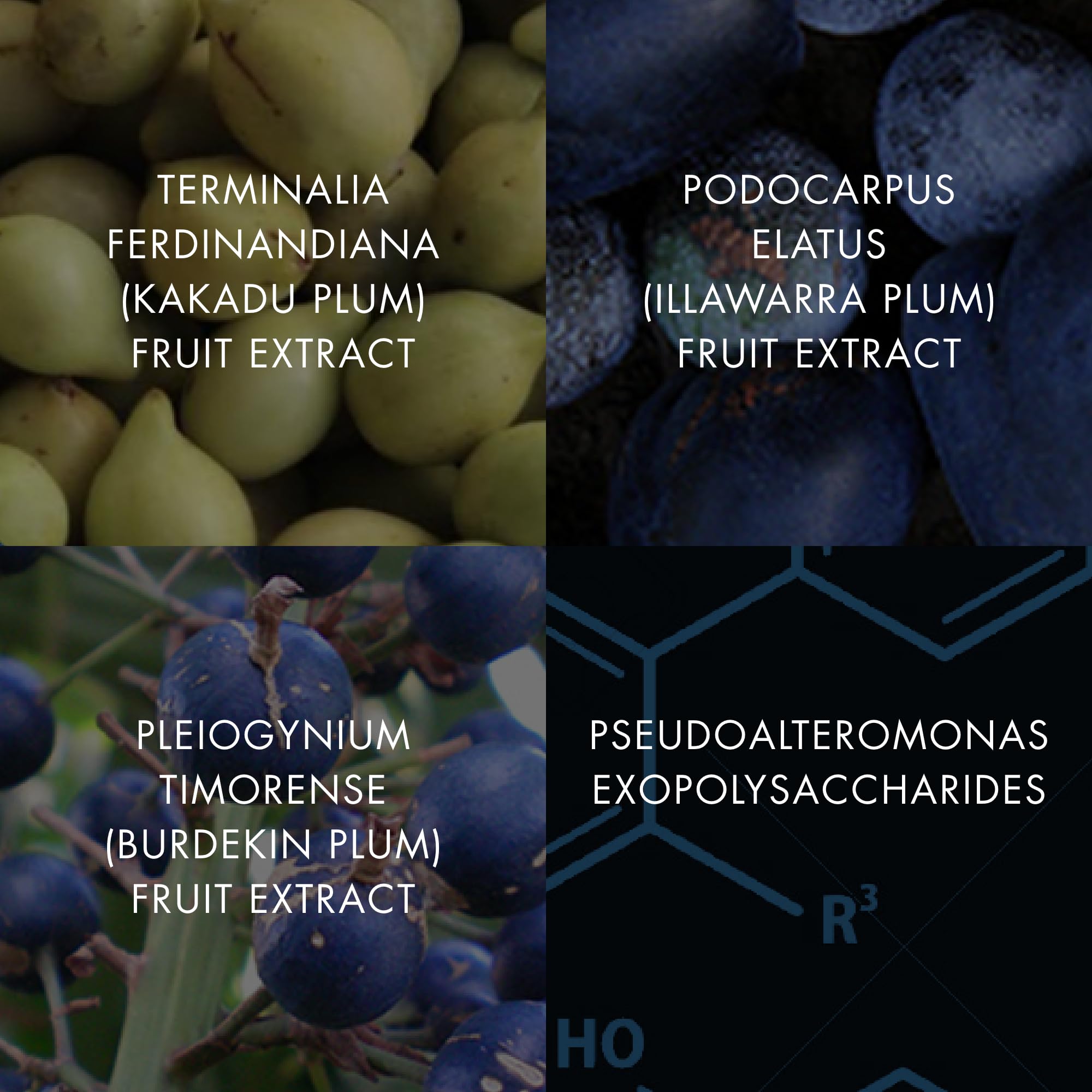 Foto 8 pulgar | Sérum Rellenador De Piel Bioelements Plump Start 60 Ml - Venta Internacional.