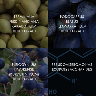 Foto 7 | Sérum Rellenador De Piel Bioelements Plump Start 60 Ml - Venta Internacional.