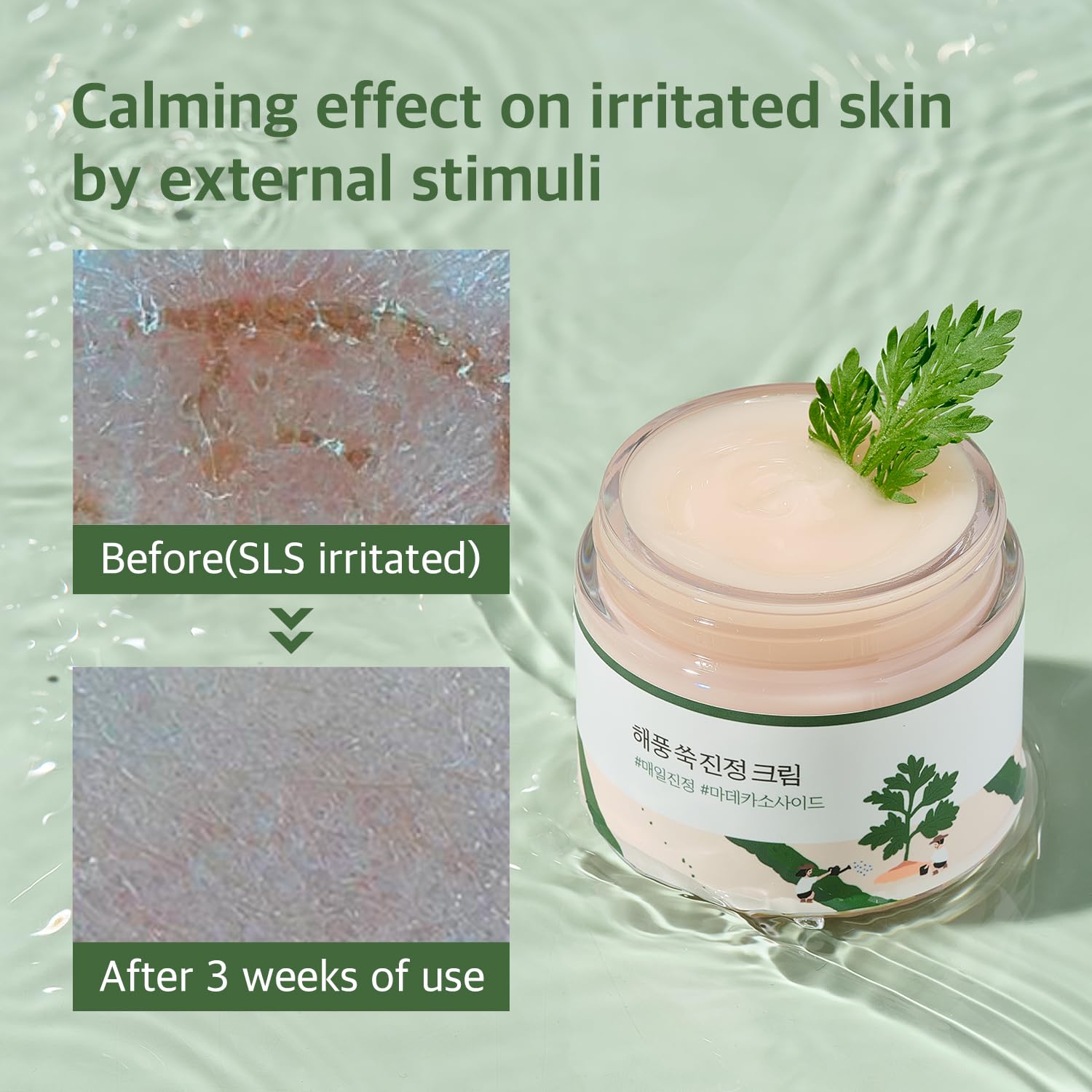 Foto 6 | Crema Calmante De Artemisa Round Lab De 80 Ml Con Madecasósido - Venta Internacional.