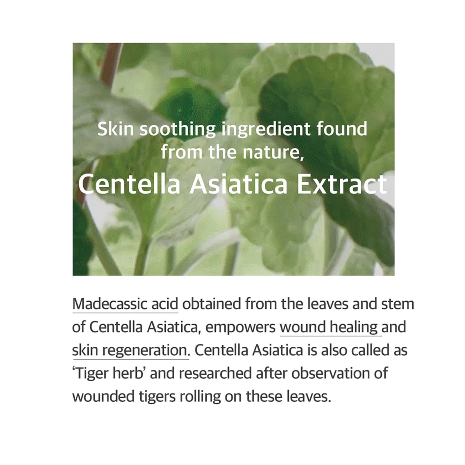 Foto 2 | Mezcla De Esencia Soondy Centella Asiatica 100 Ml Para Piel - Venta Internacional.