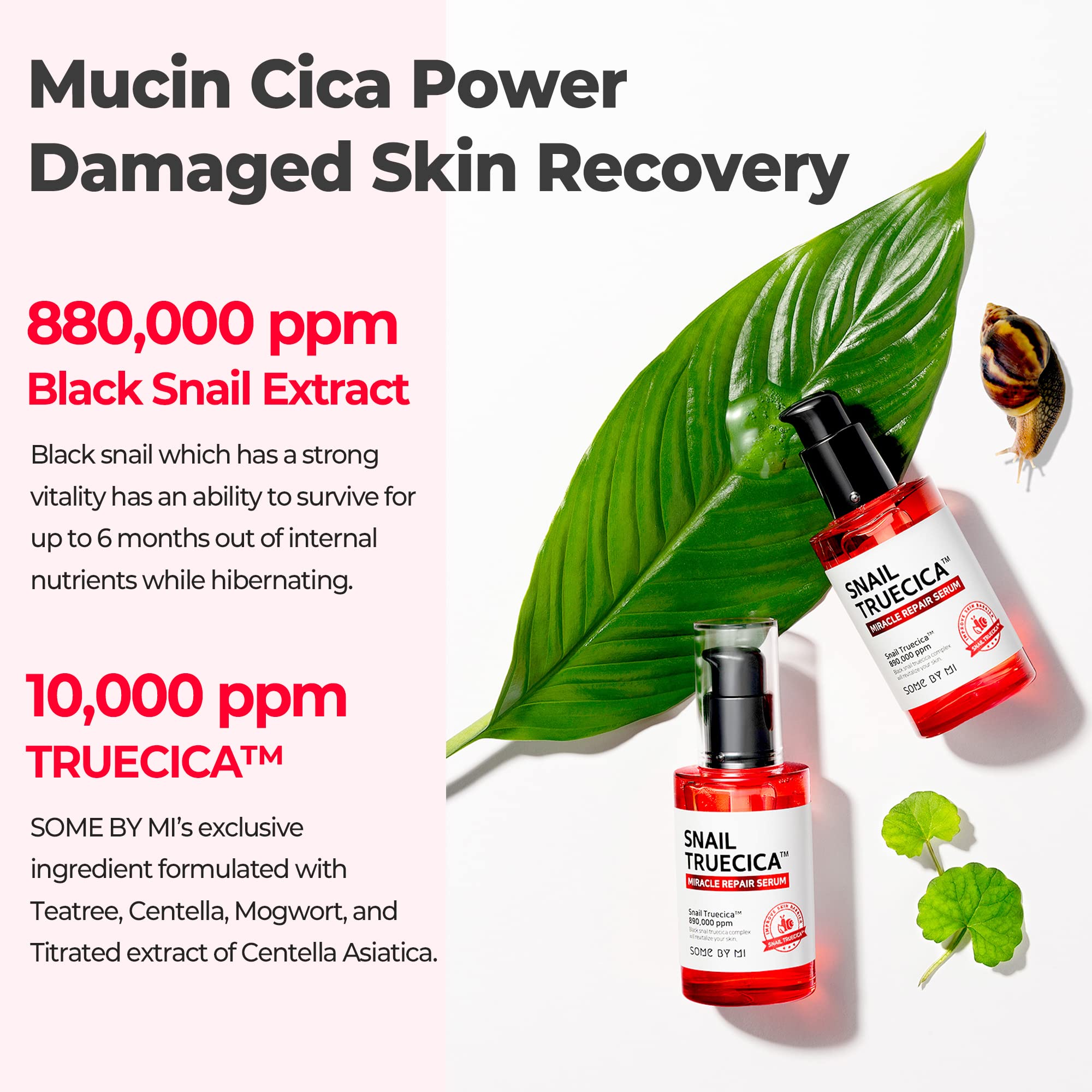 Foto 5 pulgar | Sérum Some By Mi Snail Trucica Miracle Repair De 50 Ml Para Piel - Venta Internacional.