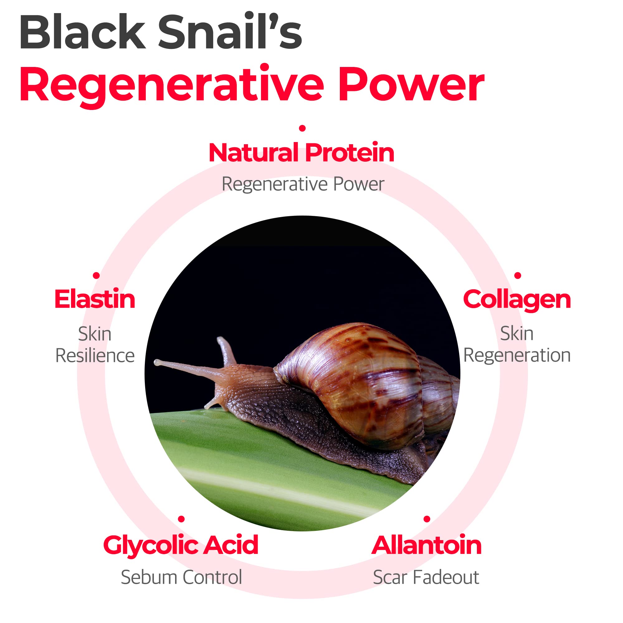 Foto 6 pulgar | Sérum Some By Mi Snail Trucica Miracle Repair De 50 Ml Para Piel - Venta Internacional.