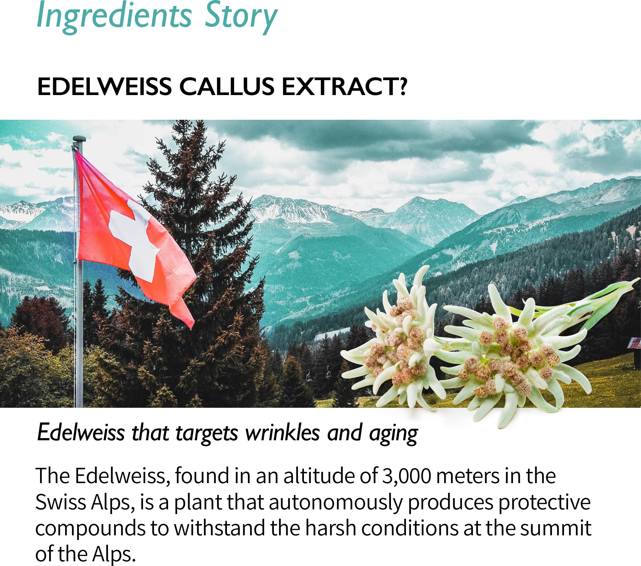 Foto 4 pulgar | Sérum Lifting Genabelle Edelweiss Con Niacinamida 40 Ml - Venta Internacional.
