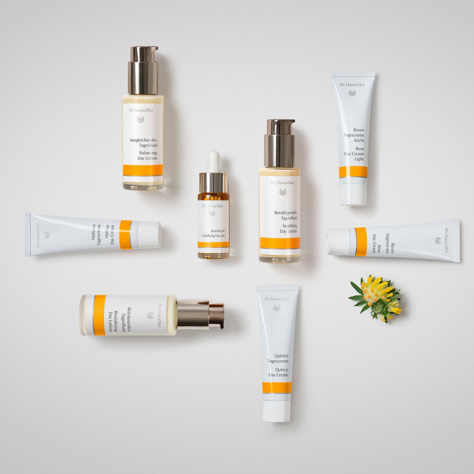 Foto 8 pulgar | Dr. Hauschka Facial Care Day Cream From Rose (rose Day Cream) 1 Oz - Venta Internacional.