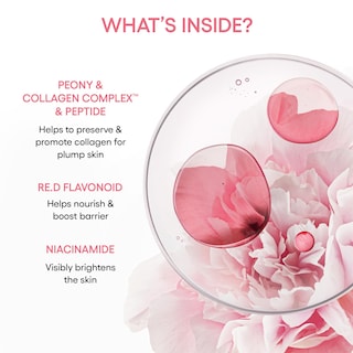 Foto 7 | Sérum Laneige Bouncy & Firm Collagen Plump Firm Hydrate - Venta Internacional.