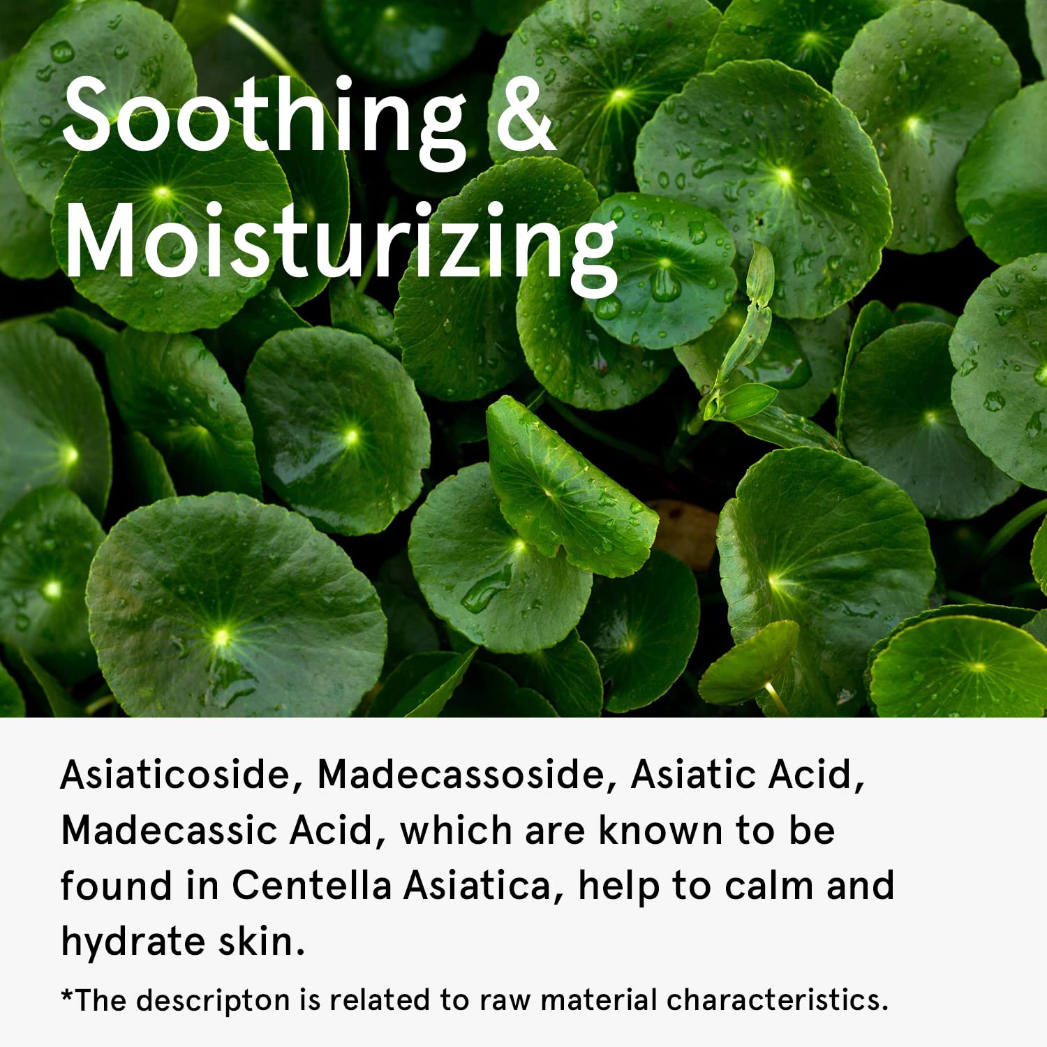 Foto 4 | Sérum Facial One Thing Green Tea 80 Ml Con Ácido Hialurónico - Venta Internacional.
