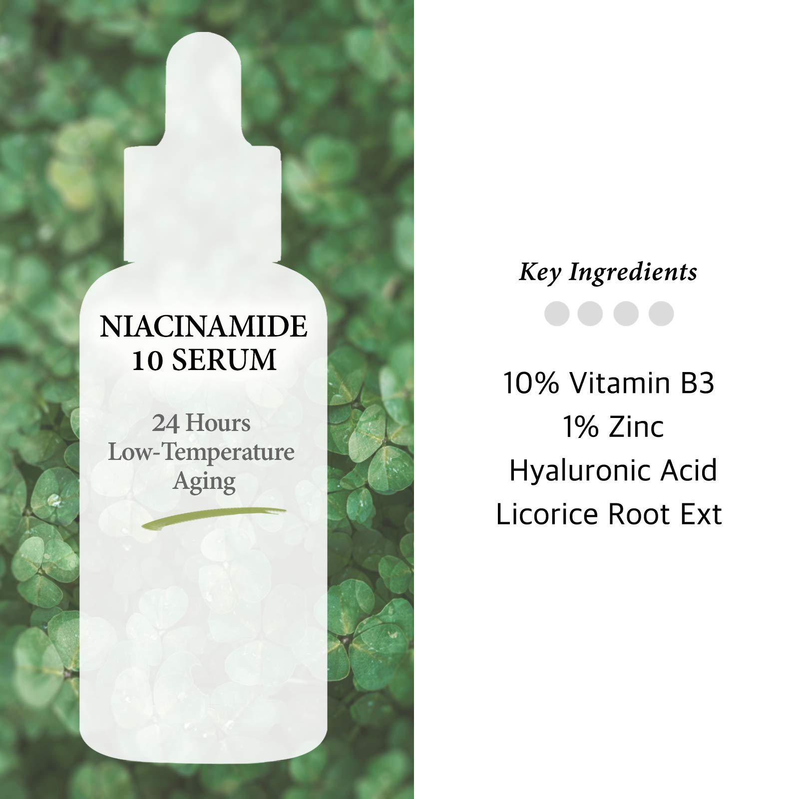 Foto 4 pulgar | Sérum Cos De Baha Niacinamida 10% + Zinc Pca 1% Para Rostro 60 Ml - Venta Internacional.
