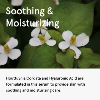 Foto 4 | Sérum Facial One Thing Houttuynia Cordata 80 Ml De Ácido Hialurónico - Venta Internacional.
