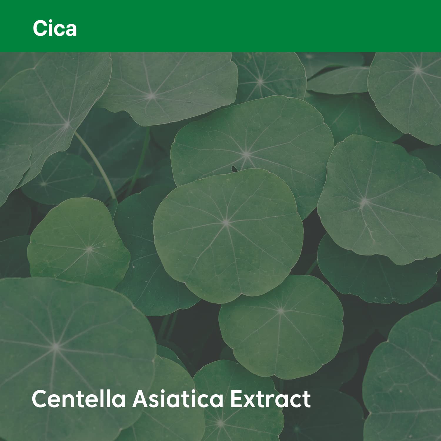 Foto 6 | Ampolla Hidratante Thankyou Farmer Phyto Relieful Cica 50 Ml - Venta Internacional.