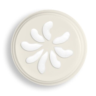 Foto 2 | Crema Hidratante Beekman 1802 Bloom Cream De Leche De Cabra 100 Ml - Venta Internacional.