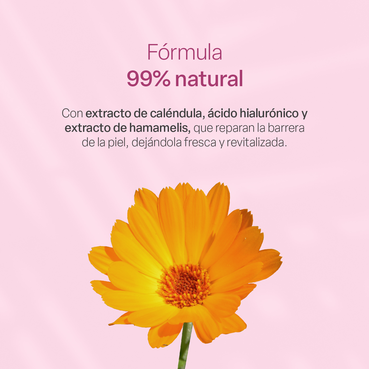 Foto 5 pulgar | Tónico Facial Teia Cosméticos con Ácido Hialurónico y Caléndula Hidratante