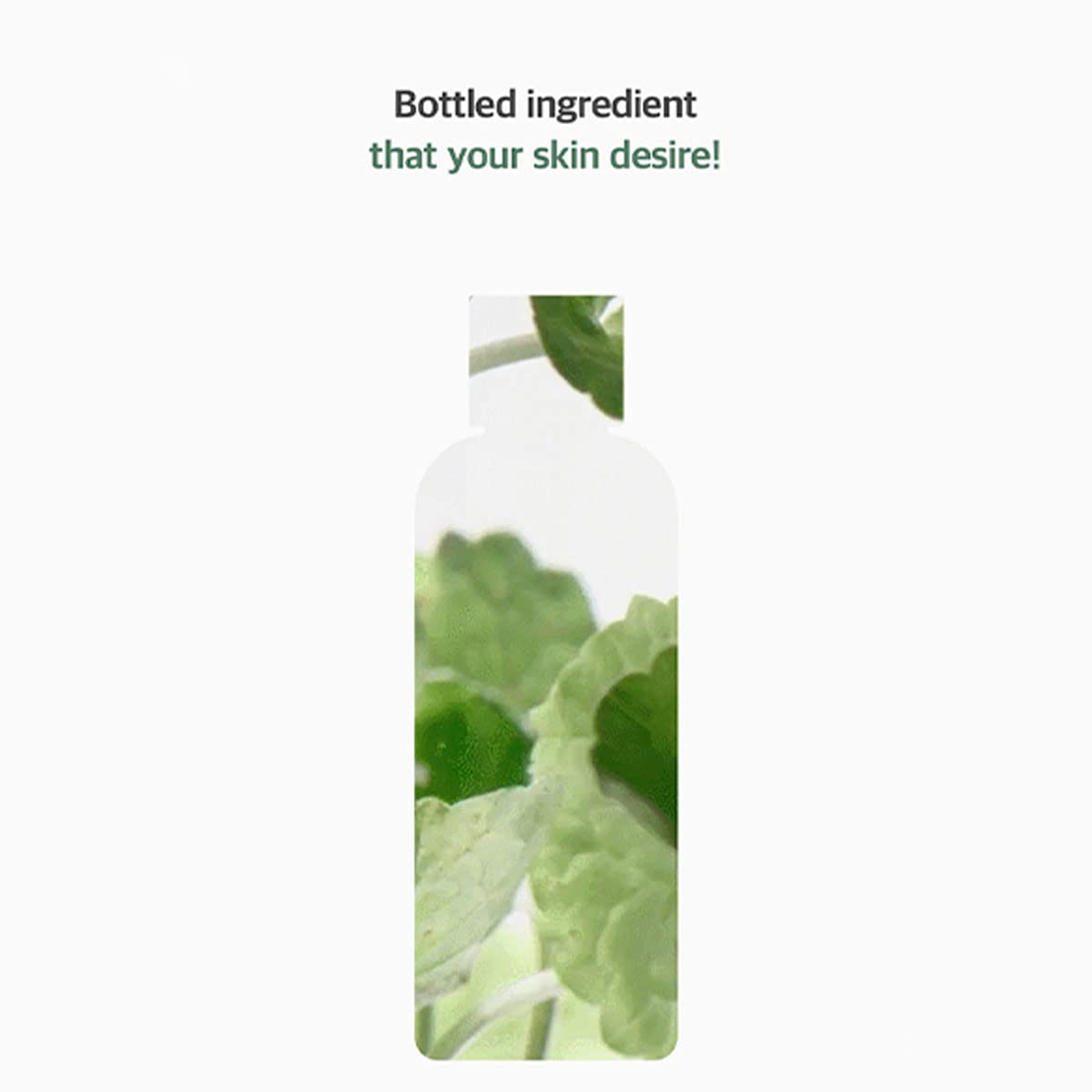 Foto 6 pulgar | Mezcla Tónica Centella Asiatica, 300 Ml, Hidratación De 24 Horas - Venta Internacional.