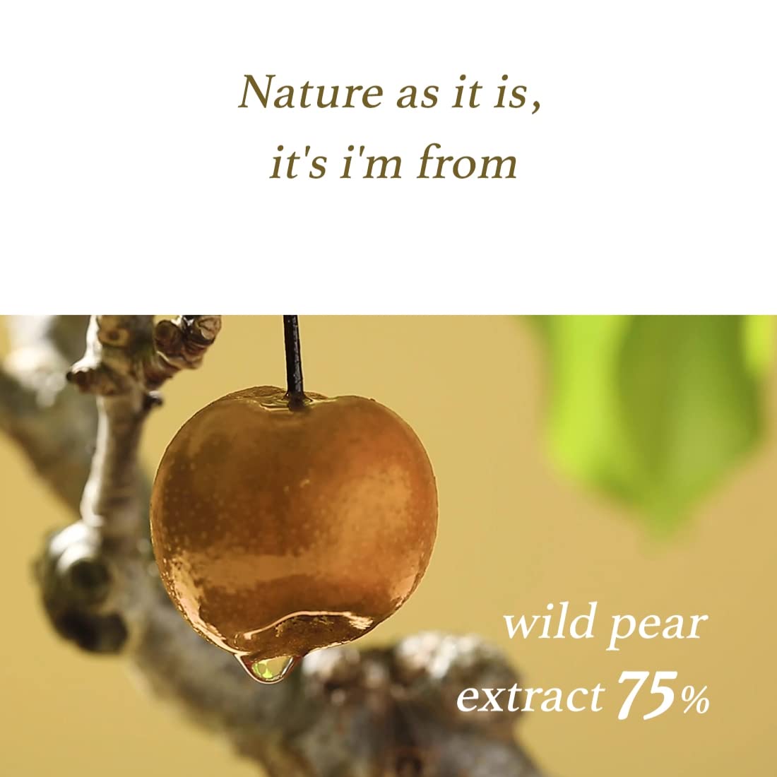 Foto 3 pulgar | Tónico Facial I'm From Pear Soothing  60 Hojas  75% Extracto - Venta Internacional.