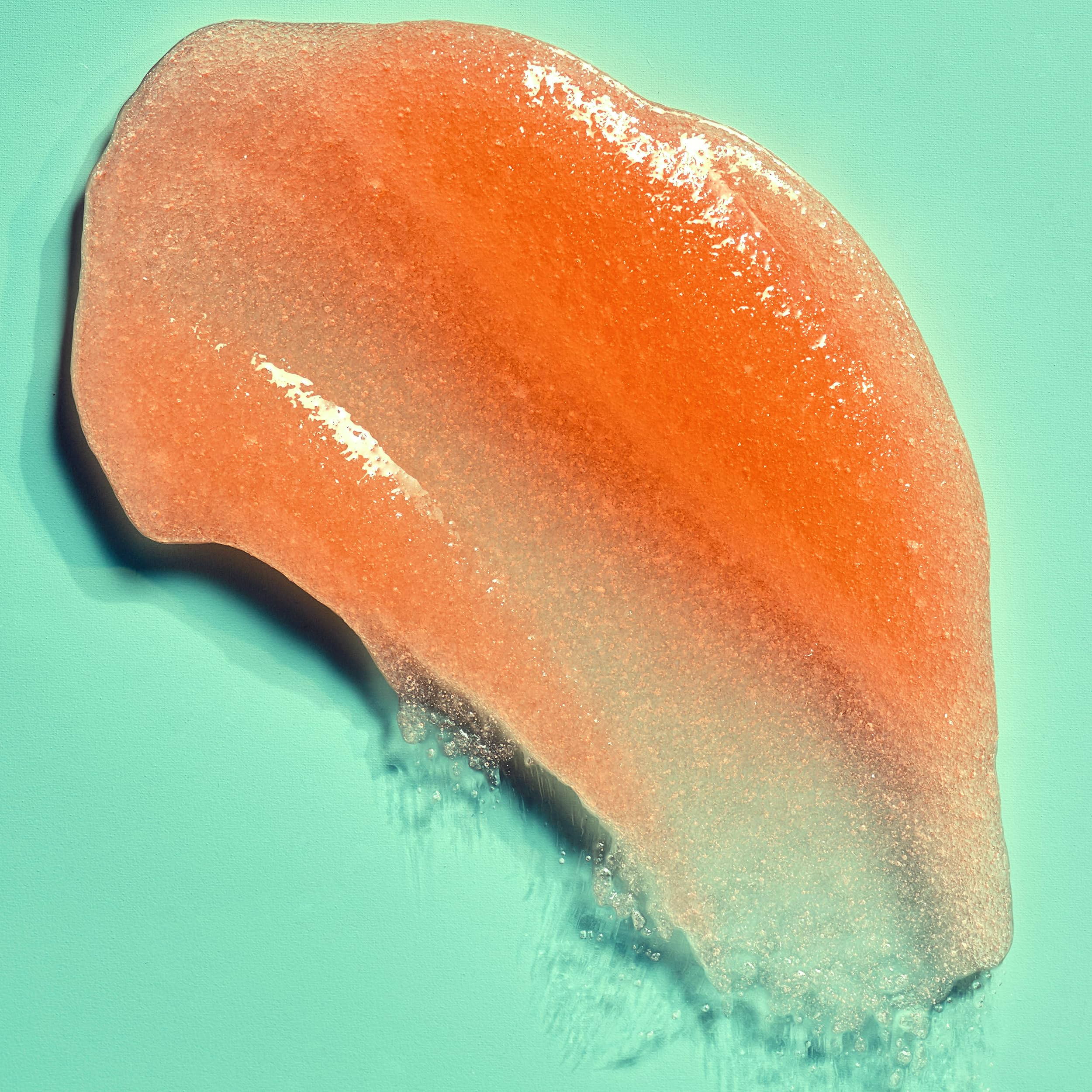 Foto 4 pulgar | Sugar Scrub Tree Hut Bikini Reef Shea 530 Ml Ultrahidratante - Venta Internacional.