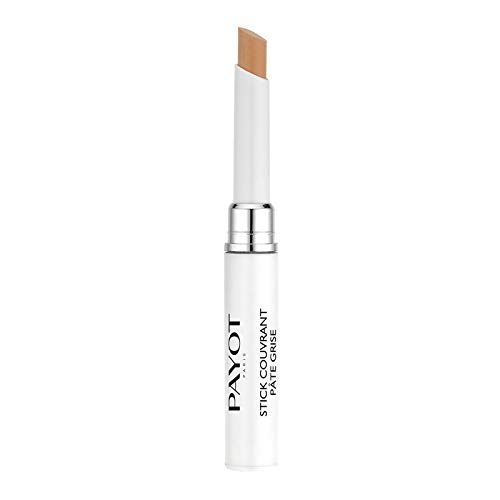 Bolígrafo Purificador Y Corrector 2 En 1 Payot Stylo Antiimperfecciones - Venta Internacional.