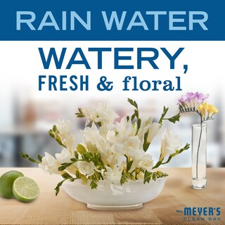 Foto 2 | Jabón En Barra Mrs. Meyer's Clean Day Rain Water 150 Ml, 1 Barra - Venta Internacional.