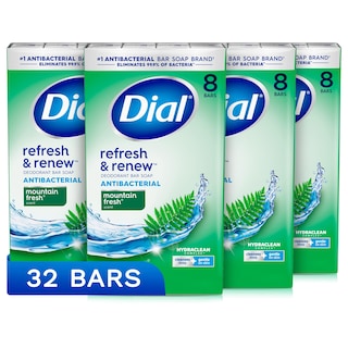 Foto 1 | Dial De Jabón Antibacteriano Refresh & Renew Mountain Fresh, 4 Onzas X 32 - Venta Internacional.