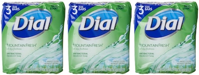 Foto 3 | Desodorante Antibacteriano Soap Dial Mountain Fresh, 9 X 118 Ml - Venta Internacional.