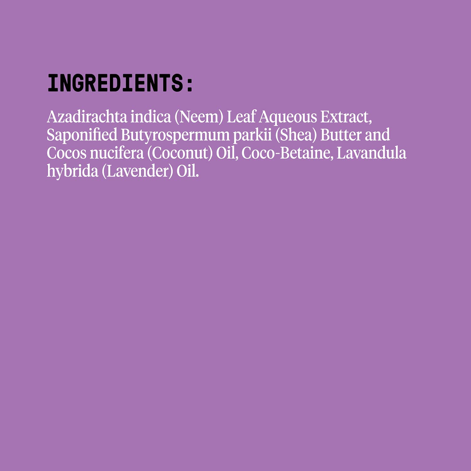 Foto 2 | Gel de Baño Alaffia Everyday Shea con Manteca de Karité 950 ml Lavanda - Venta Internacional
