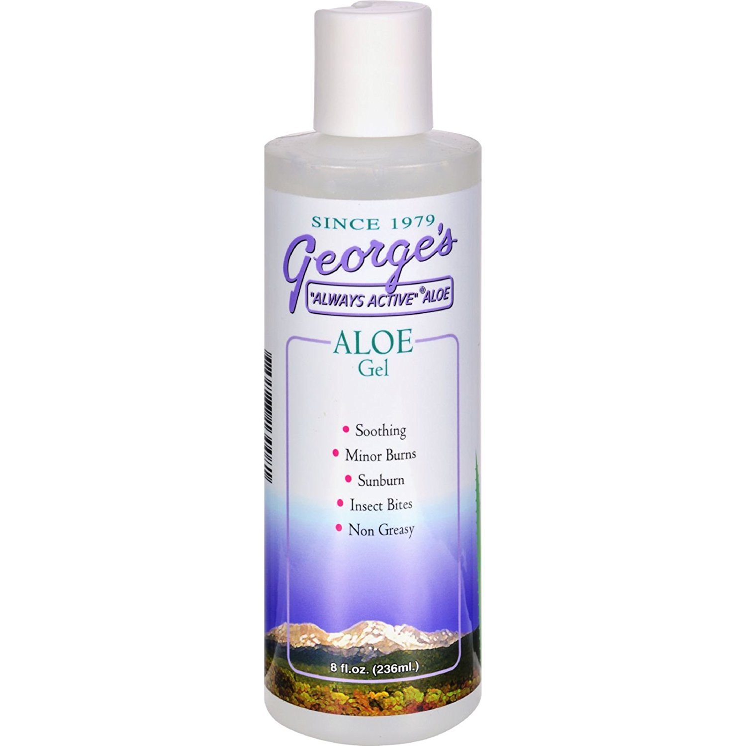 Gel De Aloe Vera George's Always Active, 240 Ml - Venta Internacional.