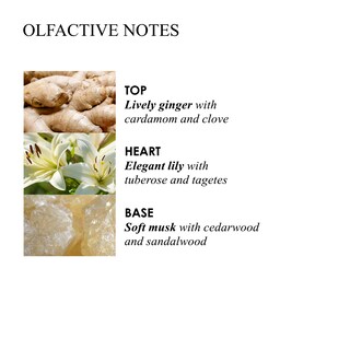 Foto 2 | Crema De Manos Molton Brown Gingerlily Heaven 40ml - Venta Internacional.