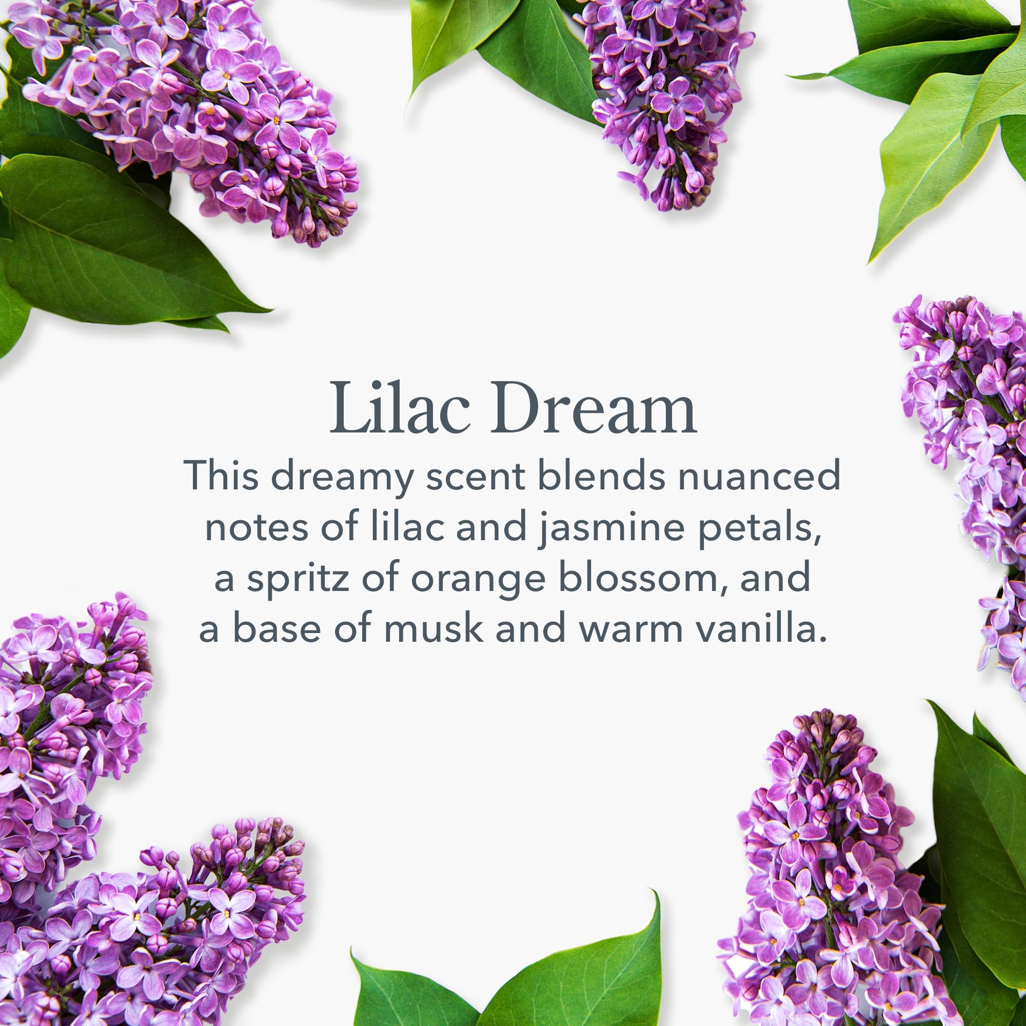 Foto 6 pulgar | Soap Beekman 1802 Lilac Dream Goat Milk  100 G  Juego De 3 Piezas - Venta Internacional.