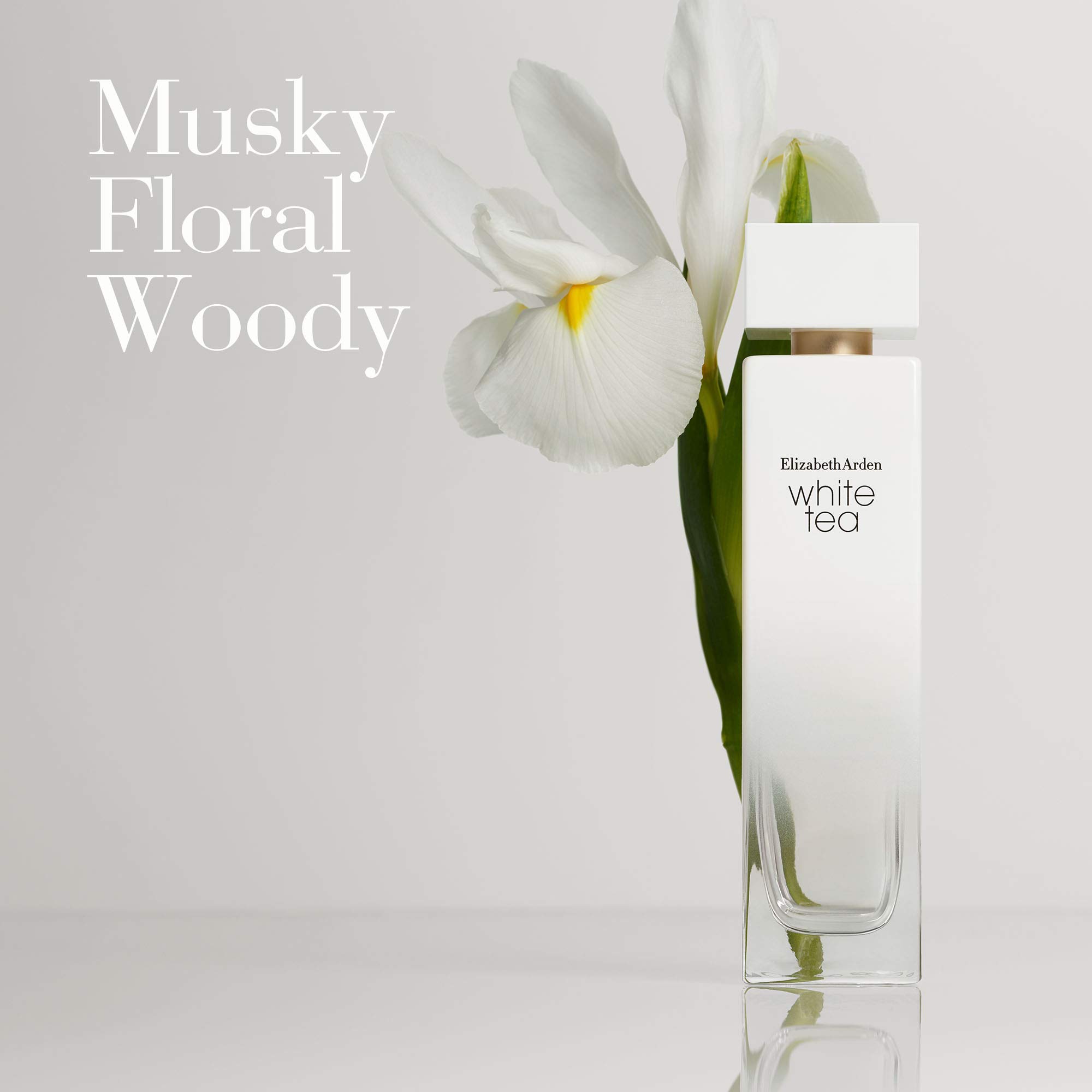 Foto 3 | Loción Corporal Elizabeth White Tea Pure Indulgence 400 Ml - Venta Internacional