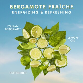 Foto 3 | Gel de Ducha Moroccanoil Bergamote Fraiche 250 ml con Aceite de Argán - Venta Internacional