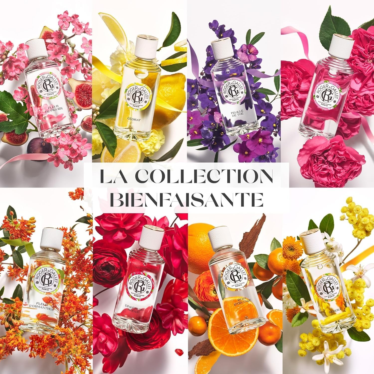 Foto 8 pulgar | Loción Corporal Roger & Gallet Figuier 250 Ml Para Mujer - Venta Internacional.