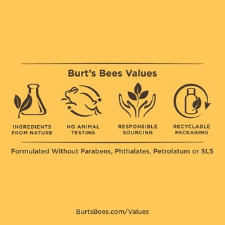 Foto 3 | Set De Regalo Burt's Bees Mama Belly Butter 99% Natural Origin - Venta Internacional.