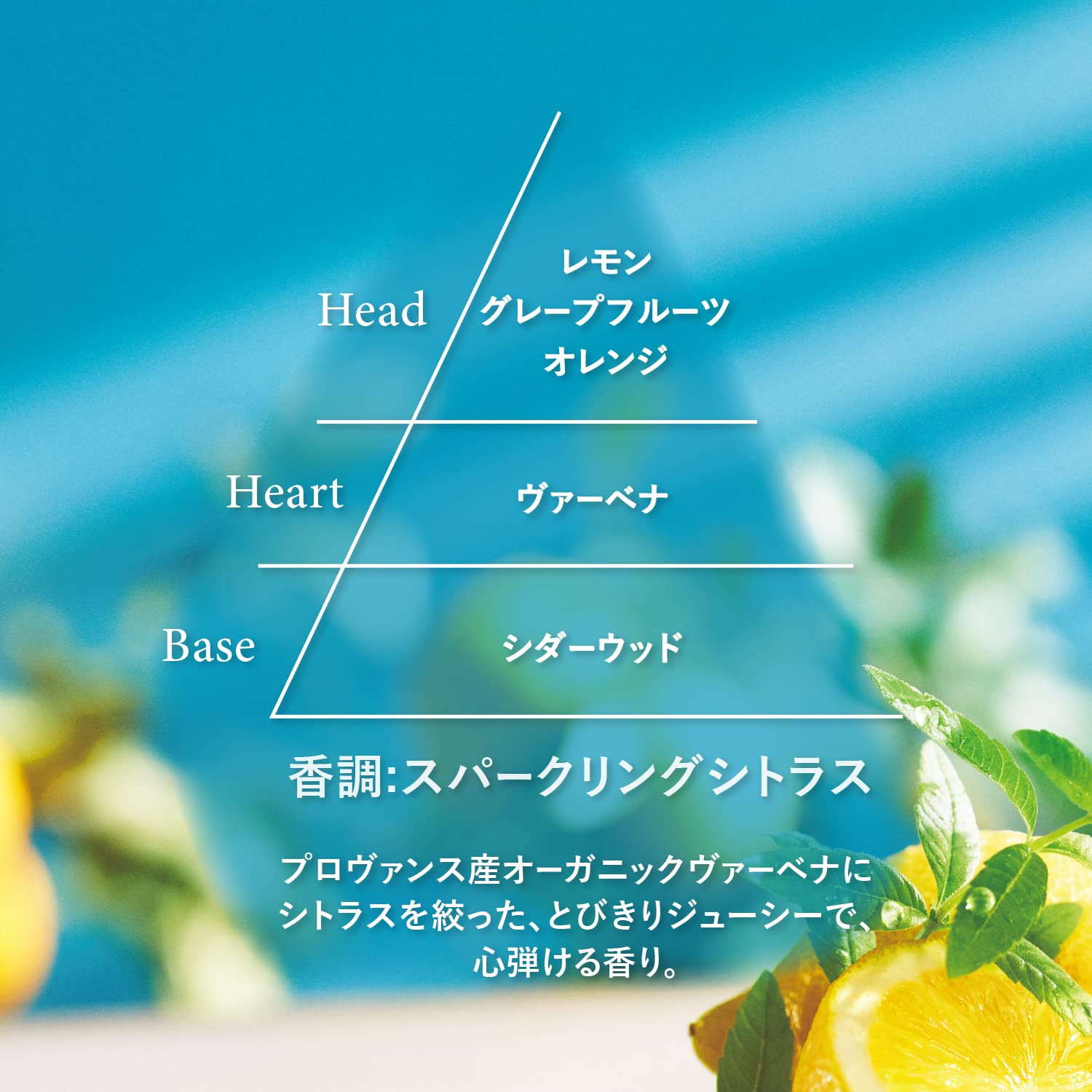 Foto 4 | Leche Corporal L'occitane Citrus Verbena 250ml - Venta Internacional.