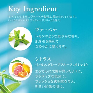 Foto 5 | Leche Corporal L'occitane Citrus Verbena 250ml - Venta Internacional.